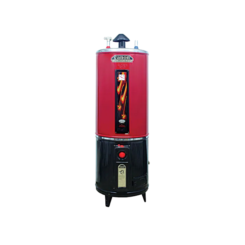 Canon GWH-55 ST 55 Gallon Electric and Gas Geyser