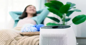 How to Choose the Best Air Purifier for Your Home: A Comprehensive Guide