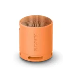 Sony SRS-XB100 Wireless Portable Speaker