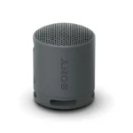 Sony SRS-XB100 Wireless Portable Speaker