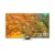 Samsung 75Q80D 75 Inches 4K UHD QLED TV