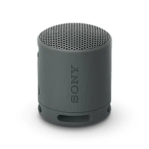 Sony SRS-XB100 Wireless Portable Speaker
