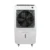Canon CA-5900 AC/DC