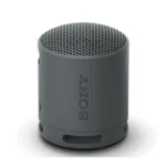 Sony SRS-XB100 Waterproof Portable Wireless Speaker