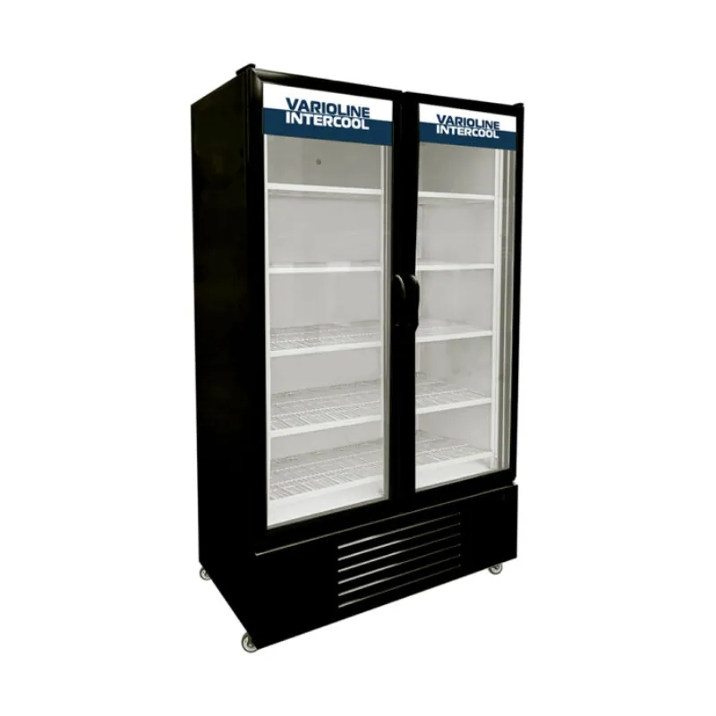 Varioline PPG-26 F Pre-Painted Vertical Glass Freezer Conservator Varioline PPG-26 F Pre-Painted Vertical Glass Freezer Conservator